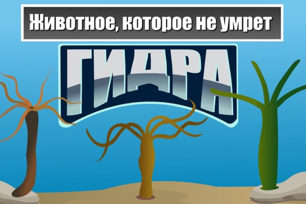 Мега даркнет зайти